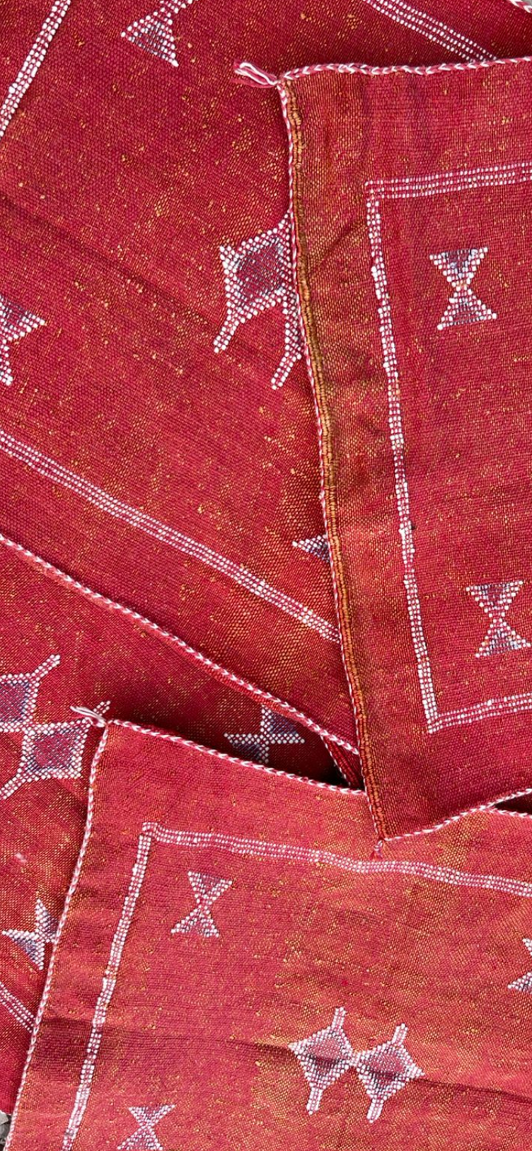 Cactus Silk Sabra Cushion - Red (50 x 50cm)
