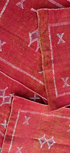 Cactus Silk Sabra Cushion - Red (50 x 50cm)